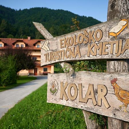 Villa Tourist farm Kolar Ljubno Esterno foto