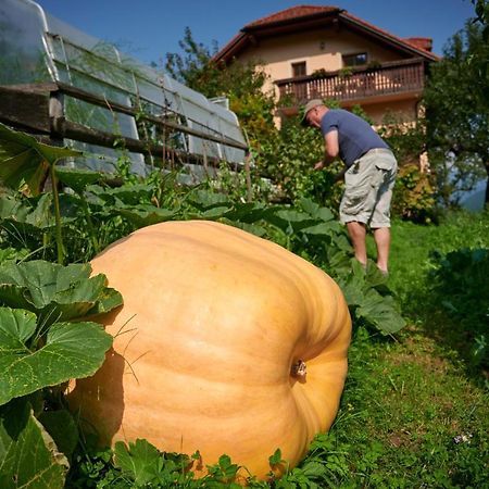 Villa Tourist farm Kolar Ljubno Esterno foto