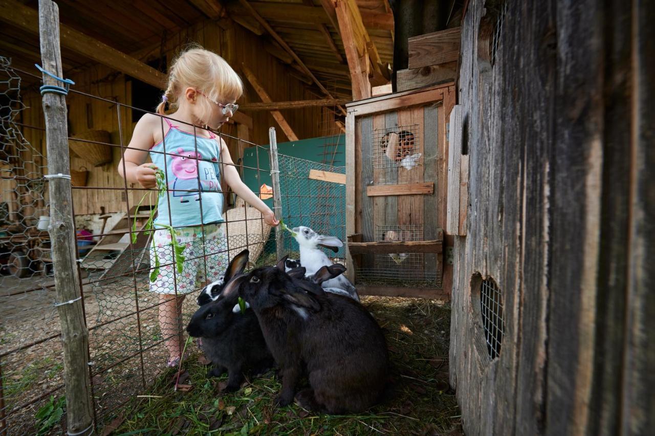Villa Tourist farm Kolar Ljubno Esterno foto