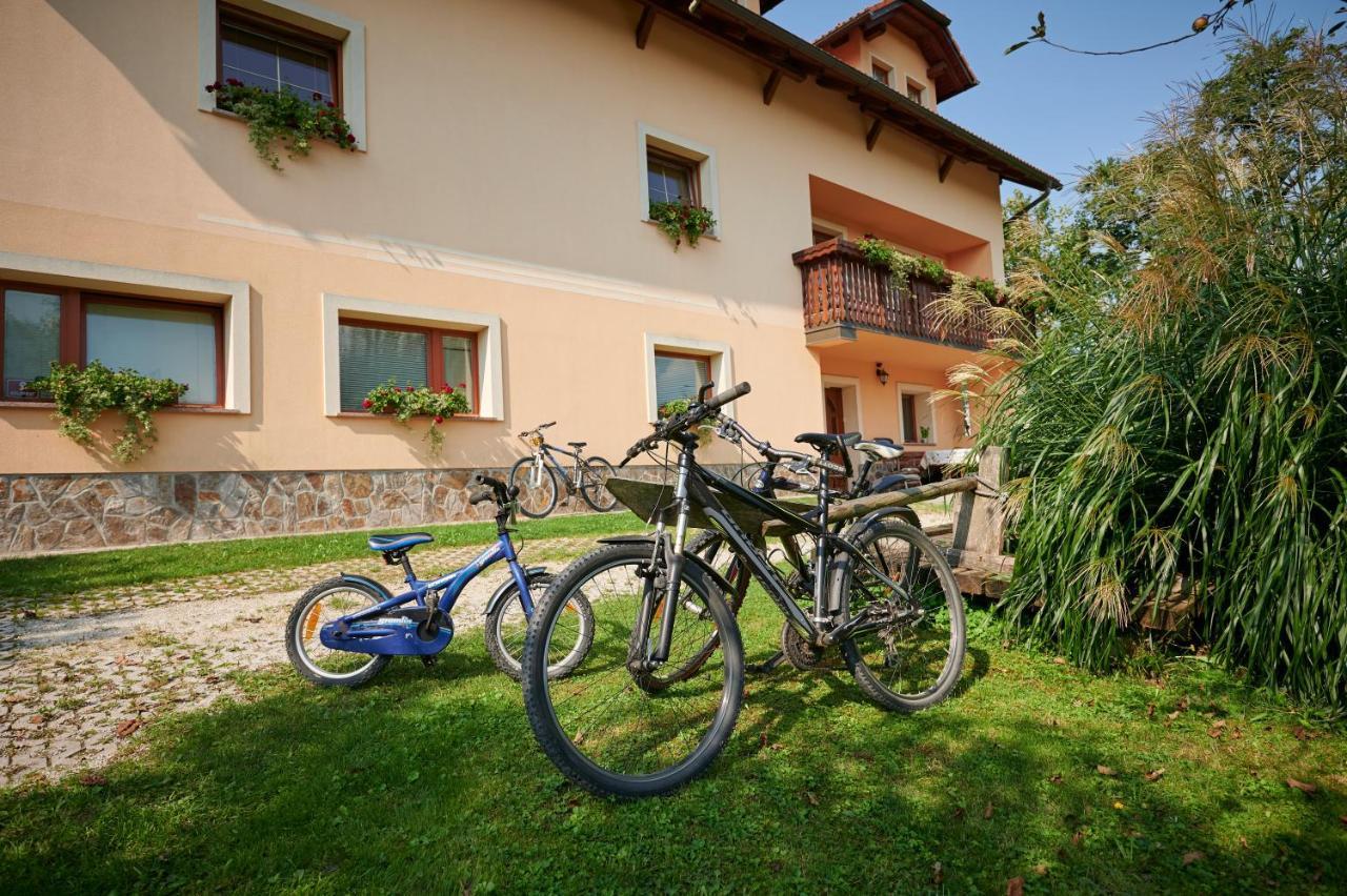 Villa Tourist farm Kolar Ljubno Esterno foto