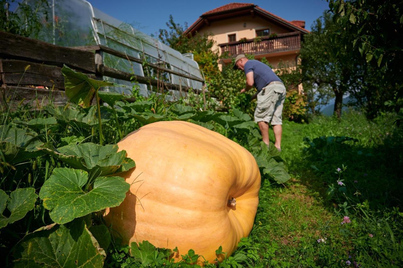 Villa Tourist farm Kolar Ljubno Esterno foto