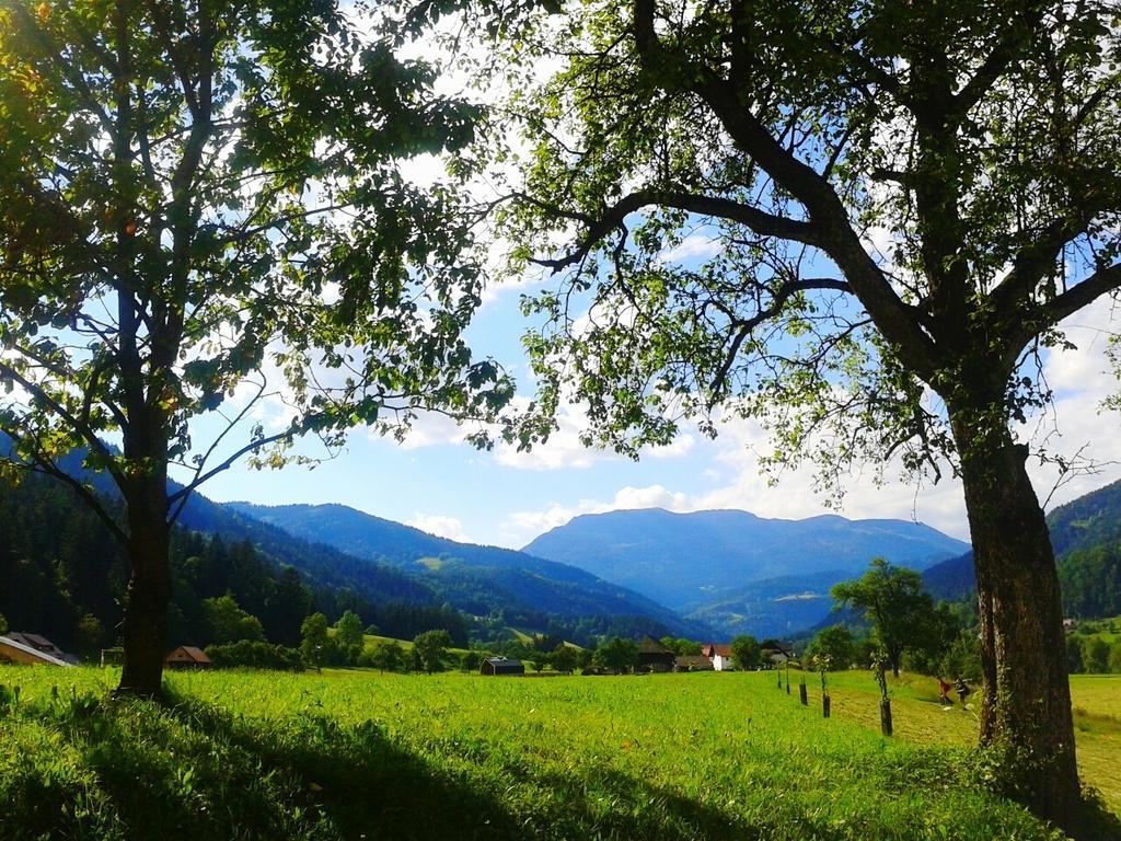 Villa Tourist farm Kolar Ljubno Esterno foto