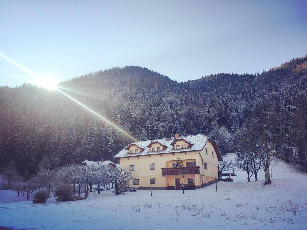 Villa Tourist farm Kolar Ljubno Esterno foto