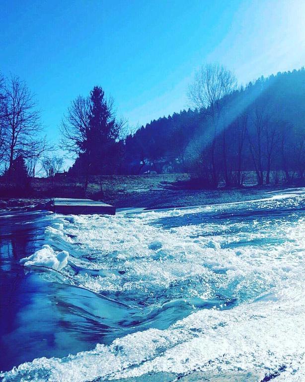 Villa Tourist farm Kolar Ljubno Esterno foto
